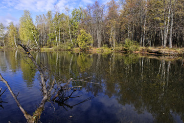 Autumn landscape-2