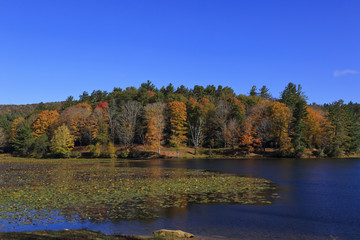 Cone Lake at Moses Cone Memorial Park in the Fall