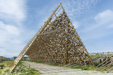 Secadero de pescado en Laukvik, Lofoten, Noruega 