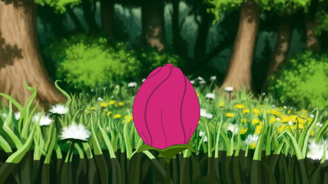 Morning in the forest