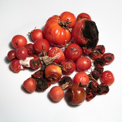 Alte faulige Tomaten