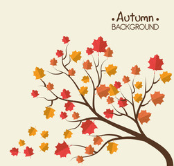 Green nature and leaves design.