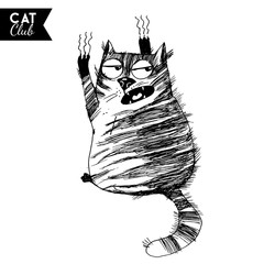 funny cat  character vector cat club