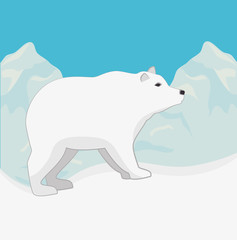 Arctic bear animal 