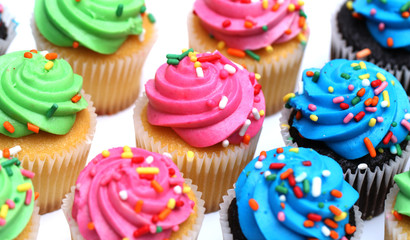 Multicolored Cupcakes Isolated on a White Background