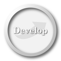Develop icon