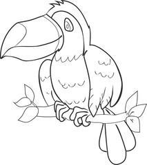 Coloring with toucan