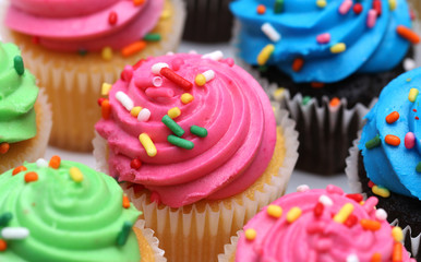 Multicolored Cupcakes Isolated on a White Background