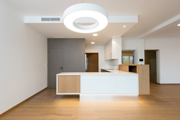 Contemporary kitchen interior