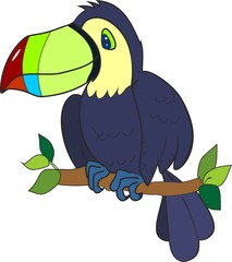 Cute toucan sitting on tree branch
