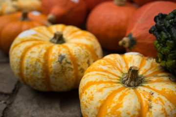Small Yellow Autumn Pumpkins
