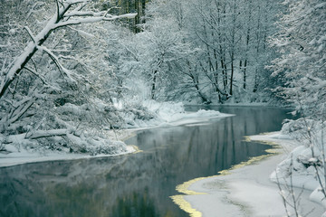 beautiful winter landscape with a snow-covered forest and the river