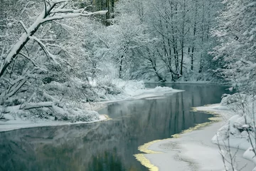 Crédence de cuisine en verre imprimé Hiver beautiful winter landscape with a snow-covered forest and the river