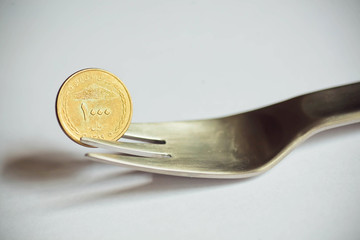 One thousand Iranian Rials. Selective focus on iranian currency.