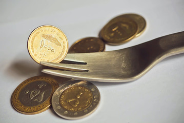 One thousand Iranian Rials. Selective focus on metal fork