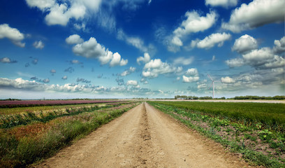 Road in field