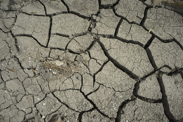 Efectos del cambio climático en la tierra