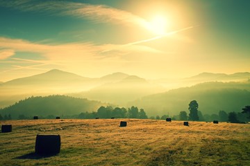Colorful autumn freeze morning at meadows. Hilly nadscape at horizon.  Ground frost covered grass with grey hoarfrost
