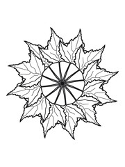 Autumn leaves Circles