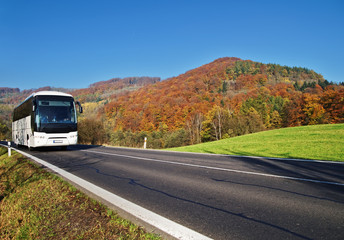 White Bus arriving at the asphalt road through the valley below the wooded mountain of glowing autumn colors. Clear sunny day with blue skies. - obrazy, fototapety, plakaty