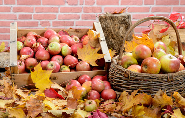 Red apples with autumn leaves on background rustic brick. 