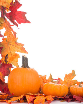 Colorful Fall Decorative Border With Leaves and Pumpkins on White Background