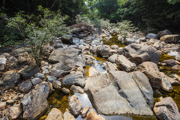 Stream in the tropical jungles of South East Asia