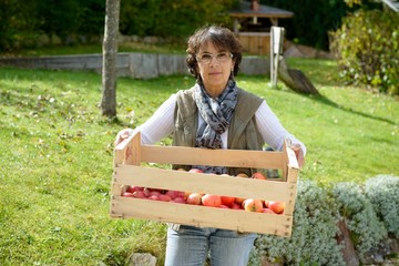 smiling woman holding a crate of red apples in the garden