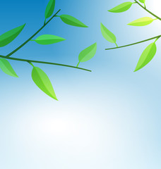 Branch Tree with Green Leaves