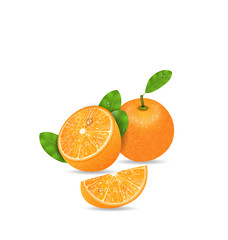 Set Orange Fruits, Cut and Slices