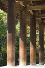 世界遺産唐招提寺金堂の列柱