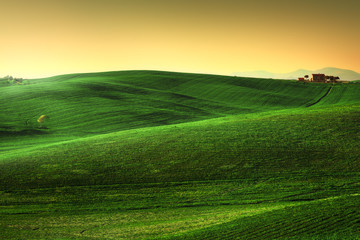 Tuscany spring, rolling hills on sunset. Rural landscape. Green