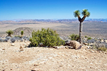 _DSC3815 - Version 2