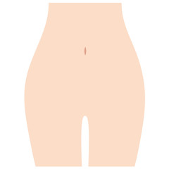 女性の下腹部　Vライン