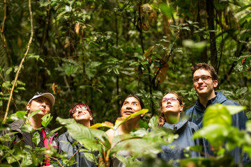 A group of tourists led by a guide explore the lush Amazon rainforest in Ecuador, encountering...