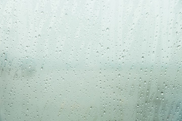 Rain Drop on the Glass, After the Rain