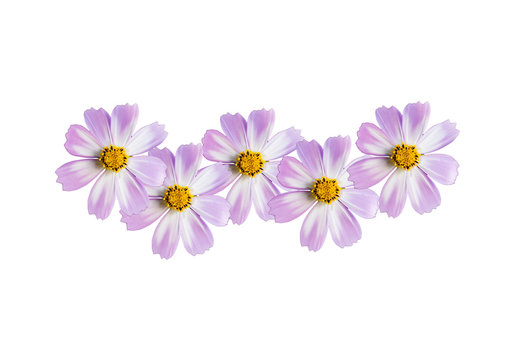 119 Best 五輪マーク Images Stock Photos Vectors Adobe Stock