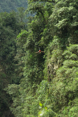 A thrilling zipline adventure through the dense jungle, soaring above the treetops with an...