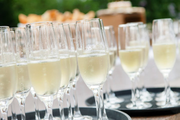 champagne glasses
