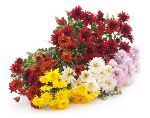 Bouquet of chrysanthemums.