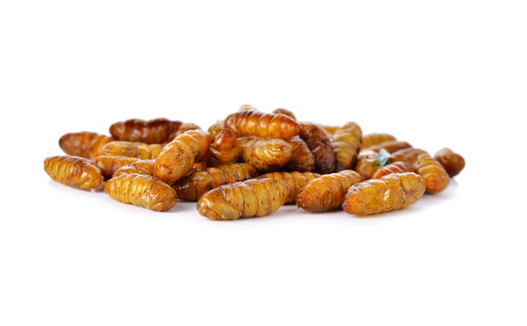 pile of fried silkworm on white background