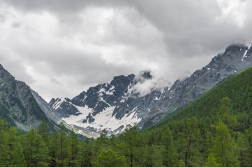 Mountain Altai