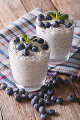 Delicious pudding with chia seeds and blueberries close-up. vertical
