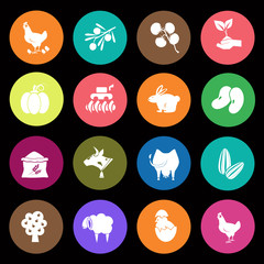 Set of  sixteen agriculture icon