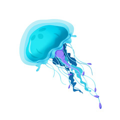 Illustration: Elements Set: Jellyfish. Realistic Cartoon Life Style.