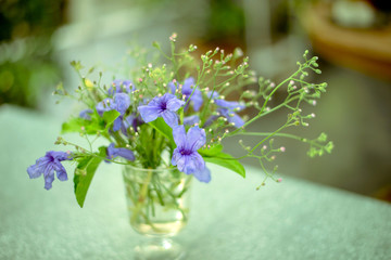 Beautiful flowers in vase