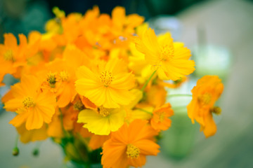 Beautiful flowers in vase