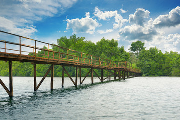 Fototapeta na wymiar Wooden bridge over the lake
