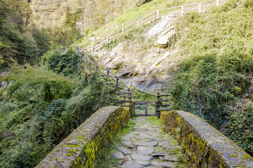 Fototapeta premium Corippo, Dorf, Steinbrücke, Valle Verzasca, Verzascatal, Wanderweg, Mühle, Tal, Bergtal, Kastanienwald, Schatten, Herbst, Tessin, Schweiz
