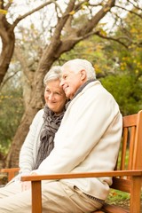  Senior couple in the park